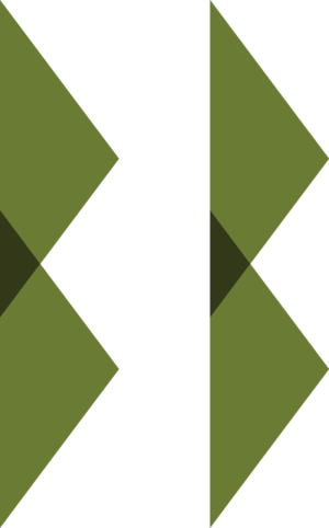 BoylstonBoogersLogo Minimalist.png