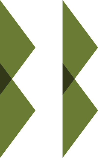 BoylstonBoogersLogo Minimalist.png