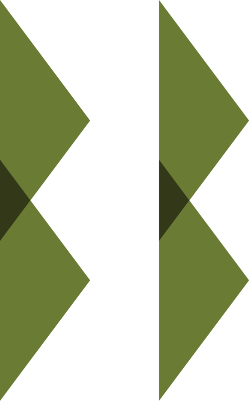 BoylstonBoogersLogo Minimalist.png